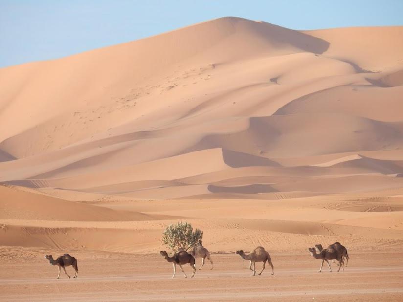 Hotel Auberge Sahara Garden Lac Yasmins Zewnętrze zdjęcie